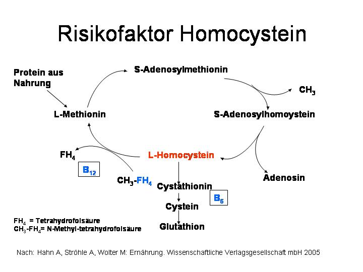Serum-Homocysteinspiegel bei Patienten mit ankylosierender..